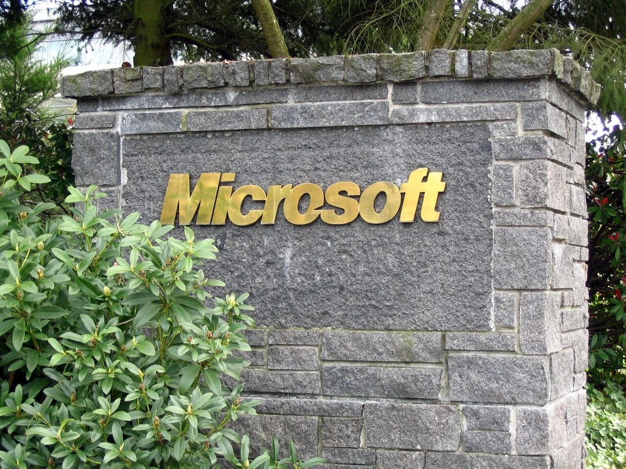 微软Win11测试M365自动续费开关