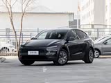 Model Y L