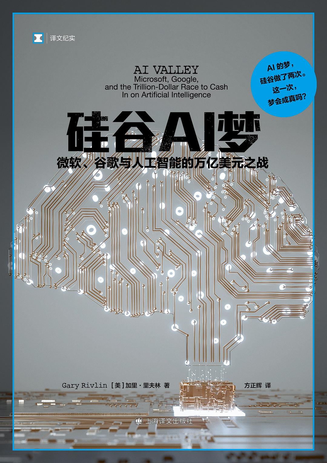 《硅谷AI梦》封面